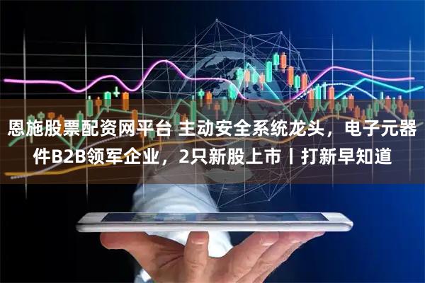 恩施股票配资网平台 主动安全系统龙头，电子元器件B2B领军企业，2只新股上市丨打新早知道